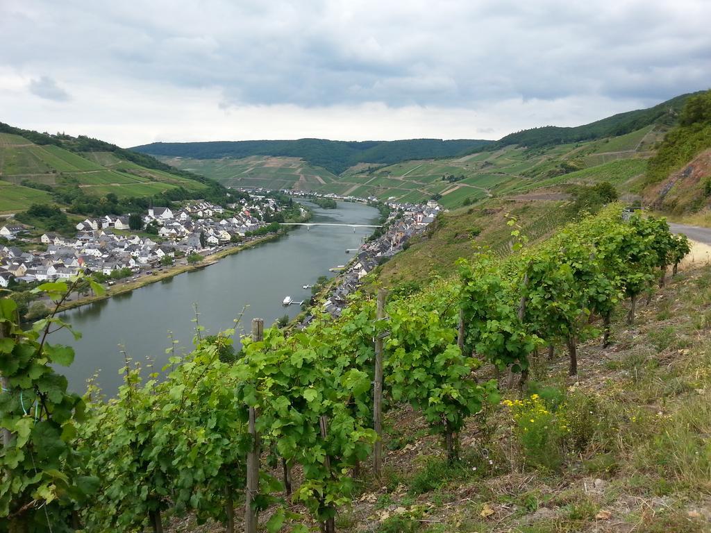 "Ferienhaus An Der Mosel" Zell an der Mosel Exterior photo