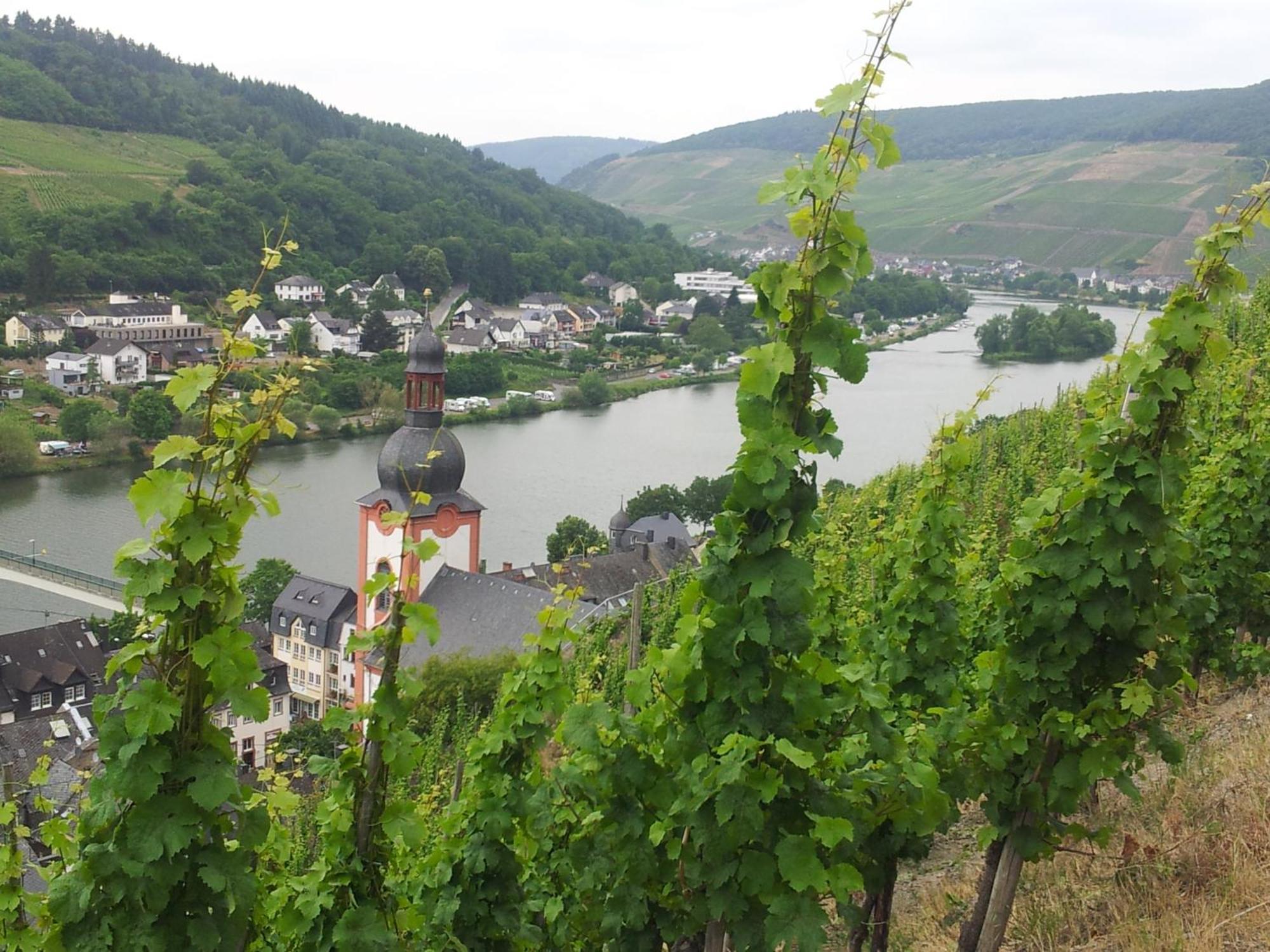 "Ferienhaus An Der Mosel" Zell an der Mosel Exterior photo
