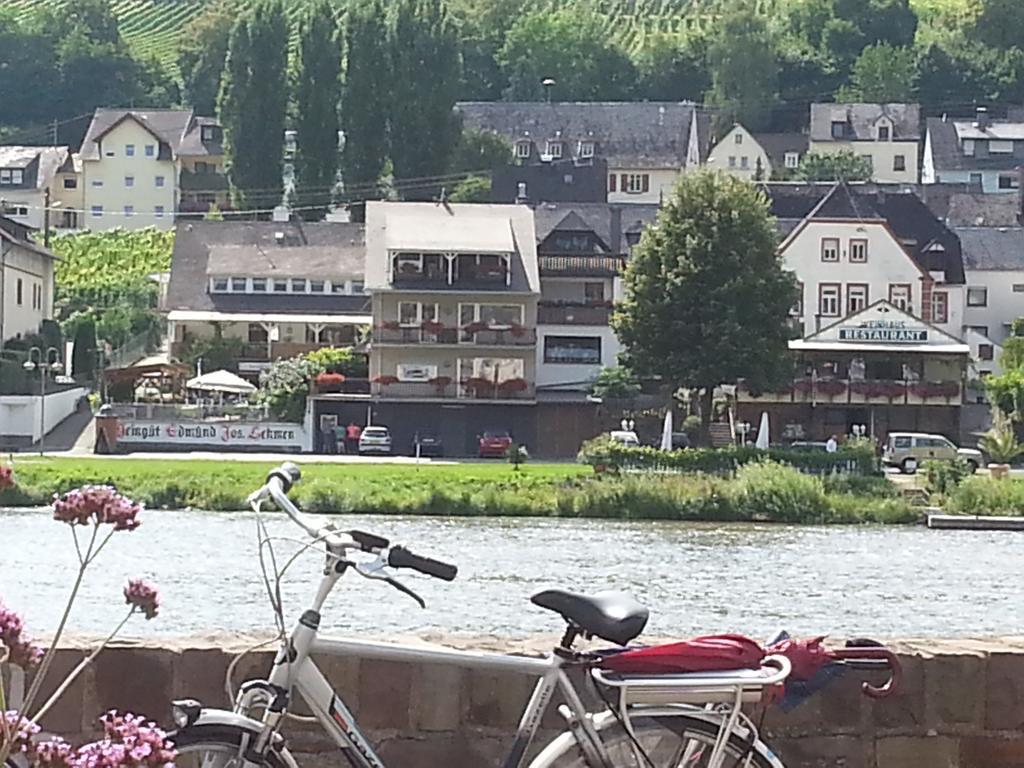 "Ferienhaus An Der Mosel" Zell an der Mosel Exterior photo